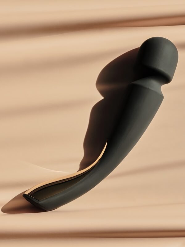 Lelo Smart Wand 2 Large Rechargeable Vibrator