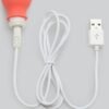 We-Vibe Bloom App Controlled Rechargeable Vibrating Kegel Balls