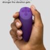 We-Vibe Chorus App and Remote Controlled Rechargeable Couple's Vibrator