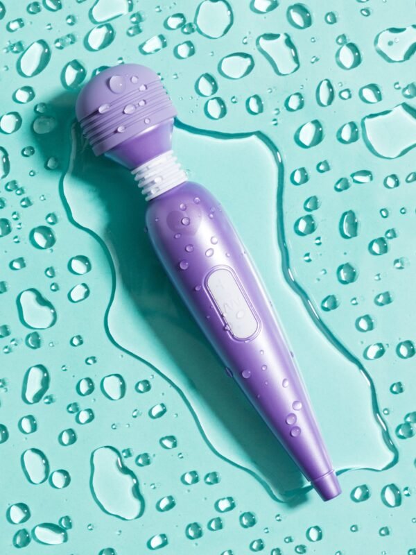Lovehoney Deluxe Rechargeable Mini Massage Wand Vibrator