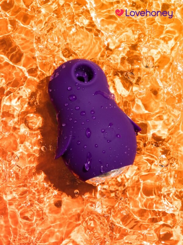 Lovehoney Pocket Pal Clitoral Suction Stimulator