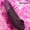 Womanizer Next Clitoral Suction Stimulator