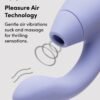 Womanizer Duo 2 Rechargeable Silicone G-Spot and Clitoral Stimulator